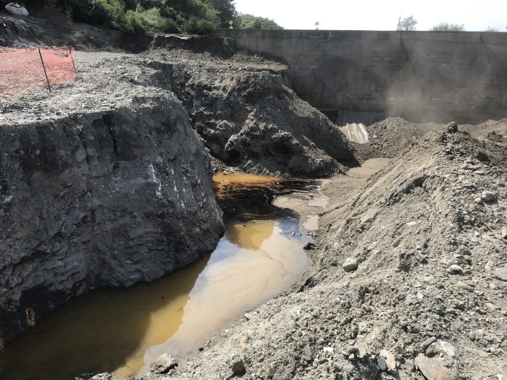 The "before" picture of the environment to be tested for cleanup. 